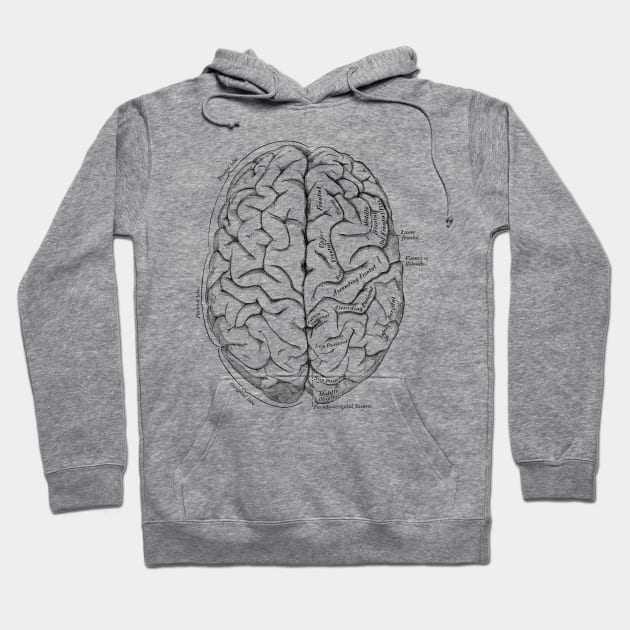 Human Body - Brain Hoodie by be yourself. design